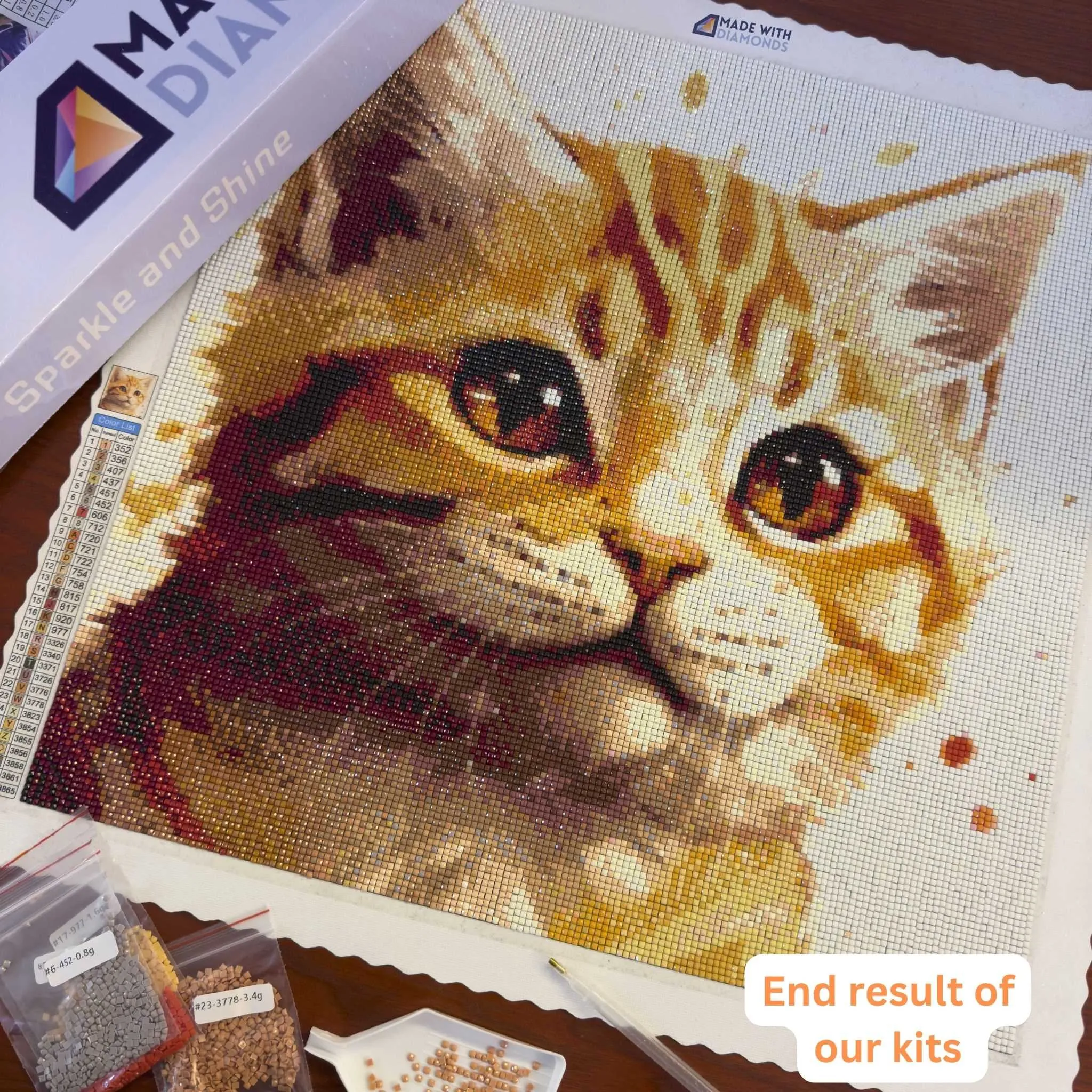 Funny Cat