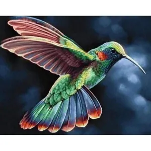 Hummingbird
