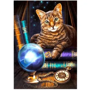 Magical Cat