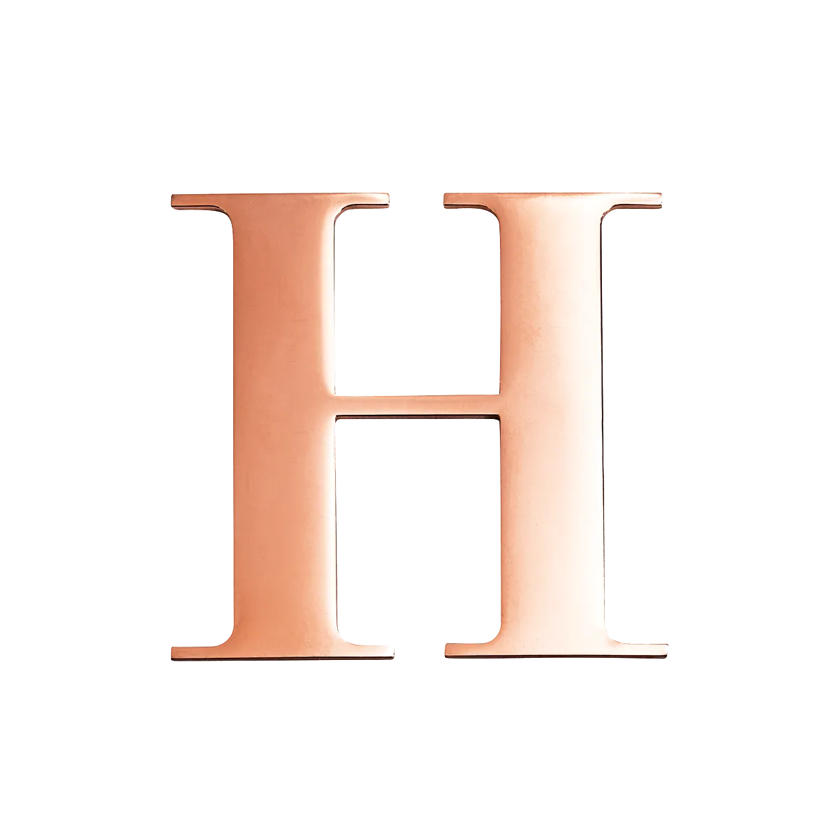 Metal Letter Key Ring (Rose Gold)