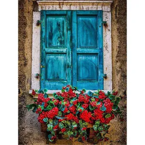 Red Flowers By The Window