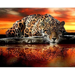 Tiger And Reflection