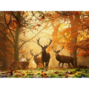 Trees and Deers