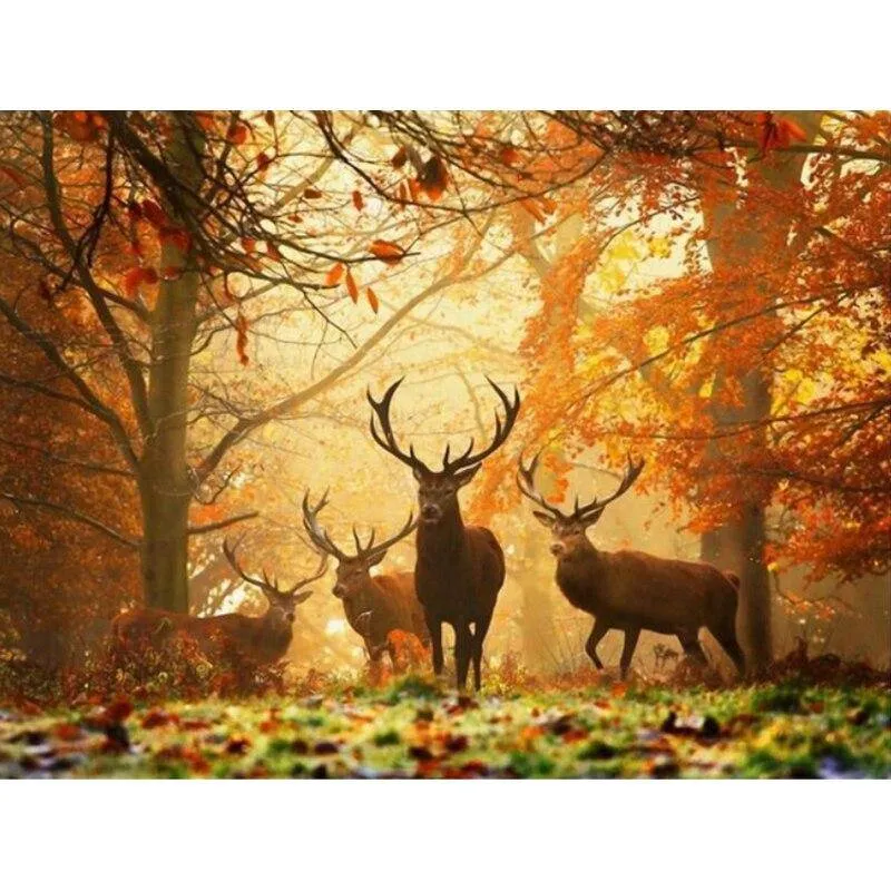 Trees and Deers