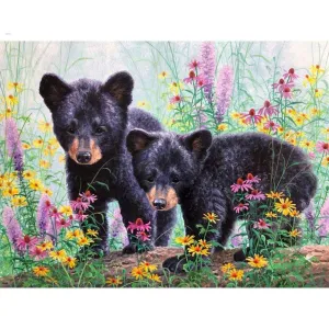 Two Black Bear