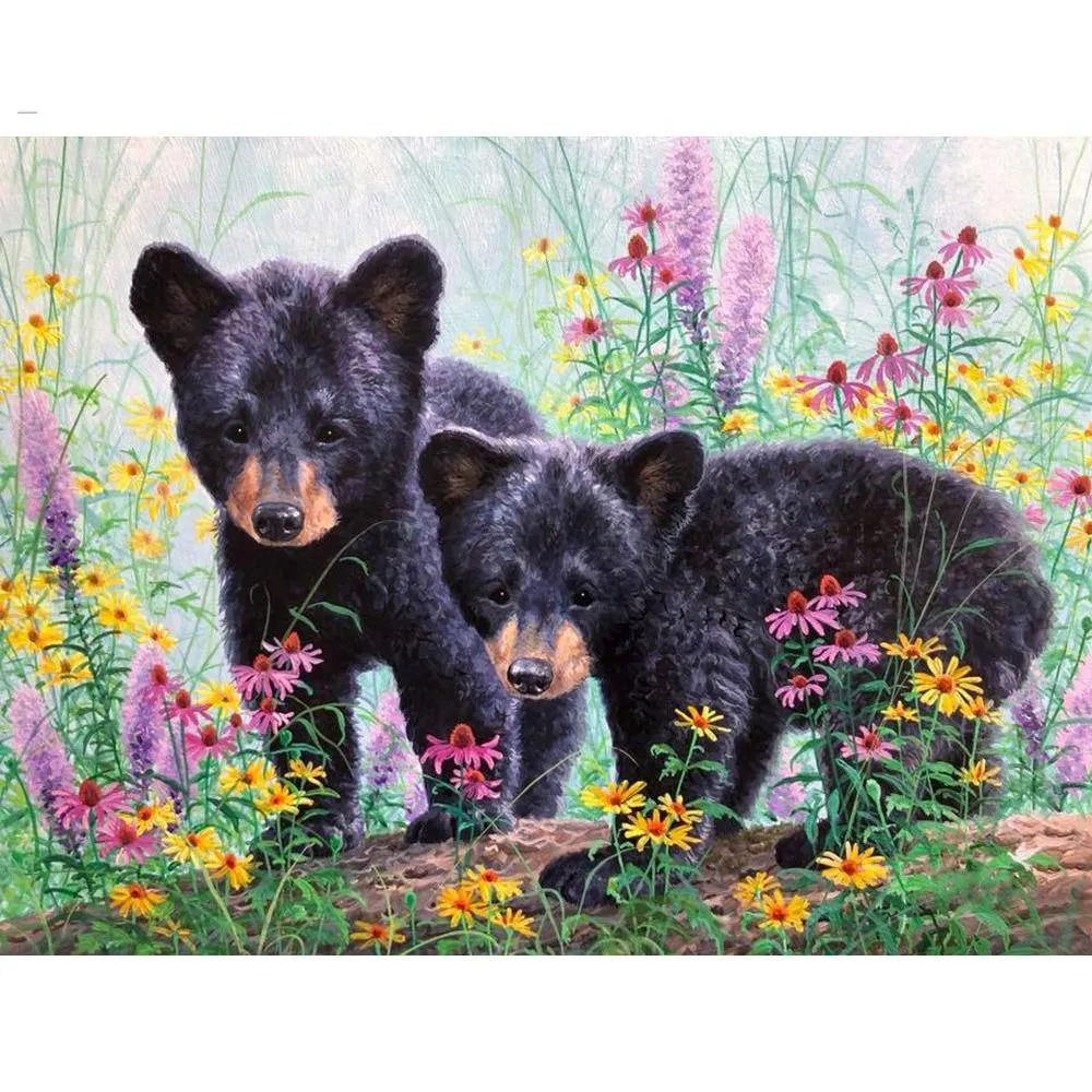 Two Black Bear